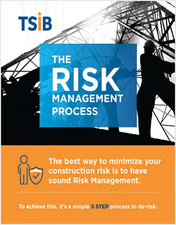 The Risk Management Process