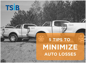 TSIB 5 Tips to Minimize Auto Losses