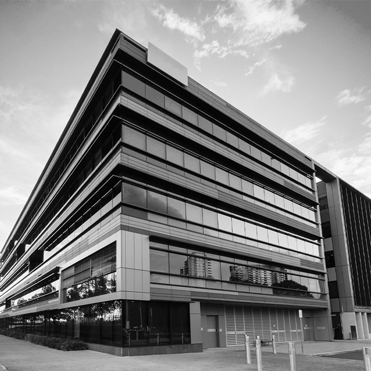 tsib-development-types-served-real-estate