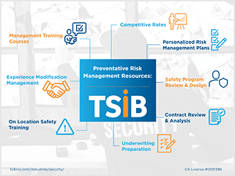 TSIB - Security Infographic